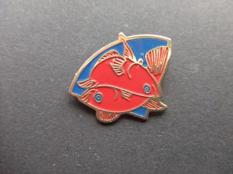 Twee vissen in elkaar blauw-rood